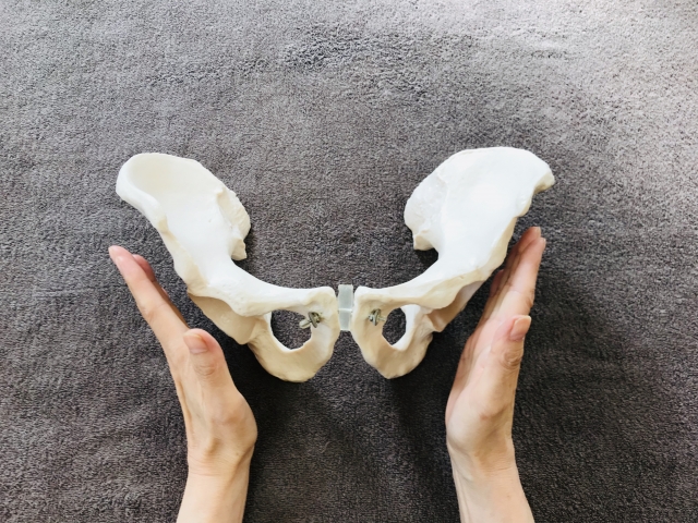 産後ママ必見！八尾市で骨盤矯正ができる整骨院の選び方　｜八尾市　オカモト鍼灸整骨院・神経整体院