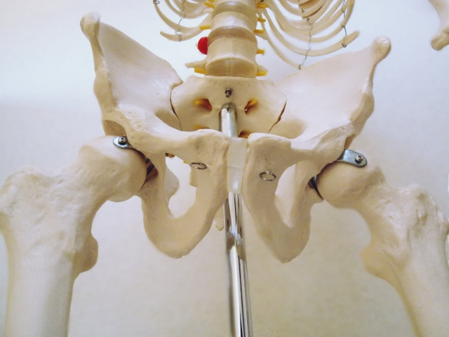 毎朝のルーティンで変わる！疲れにくい体を作る習慣とは？　｜八尾市　オカモト鍼灸整骨院・神経整体院