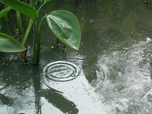 梅雨どき体調不良の改善方法
