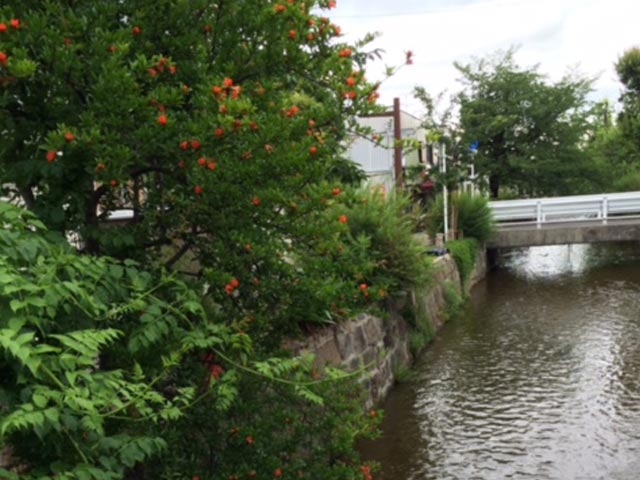 梅雨どき体調不良の改善方法