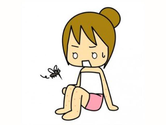 蚊に刺されまくる夏に使える裏ワザ
