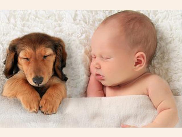 睡眠に関する雑学アレコレ