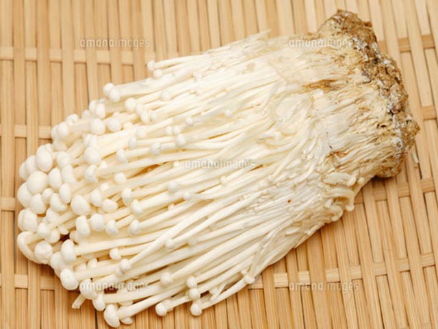 余分な脂肪をからめとる「えのき茸」が凄い！