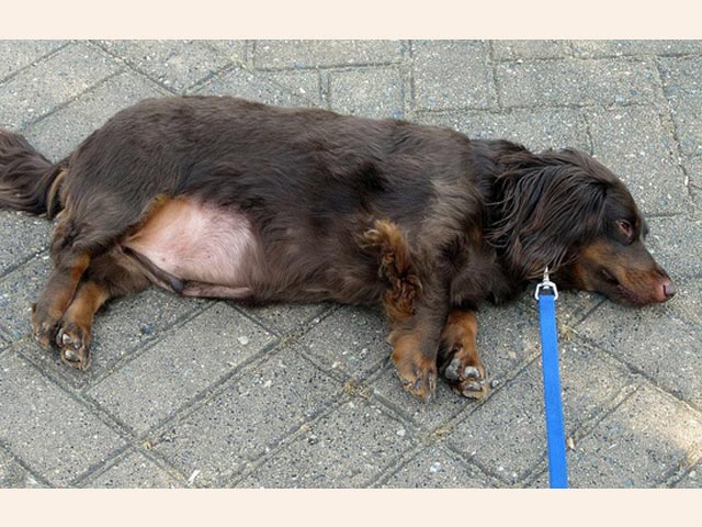 夏と冬、体力の消耗が激しいのはどっち？｜八尾市整骨院