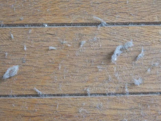 これを知ったら掃除せずにはいられない！｜八尾市整骨院