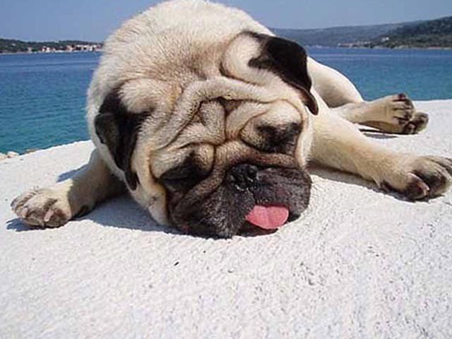 暑くて食欲が無い時の対処法｜八尾市整骨院