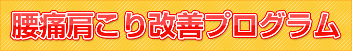 腰痛肩こり改善プログラム
